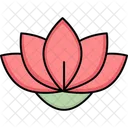 Aquatic Flower Lotus Waterlily Icon