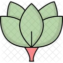 Aquatic Flower Flower Lotus Icon