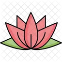 Aquatic Flower Flower Lotus Icon