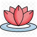 Aquatic Flower Flower Lotus Icon