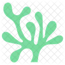Aquatic Plant  Icon