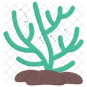 Seaweed Green Algae Edible Seaweed Icon