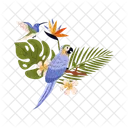 Ara Parrot Hummingbird Icon