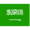 Arabia Saudita  Icono