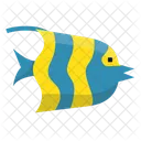 Arabian Angle Fish  Icon