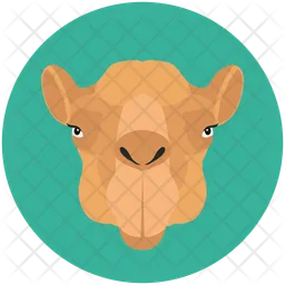 Arabian Camel  Icon