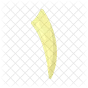 Number Arabic Symbol Icon