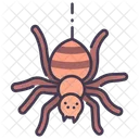 Ispider Arachnid Spider Icon