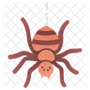 거미 거미류 거미 아이콘