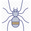 Arachnid Bug Halloween Spider Icon
