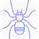 Arachnid  Icon
