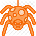 Araignee Halloween Insecte Icon