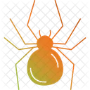 Araignee Insecte Halloween Icon