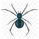 Araignee Insecte Arachnide Icon