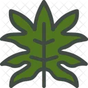 Aralia Leaf Nature Icon