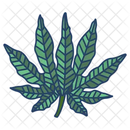 Aralia Leaf  Icon