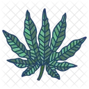 Aralia Leaf Icon