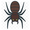 Araña  Icono