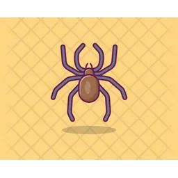 Araña  Icono