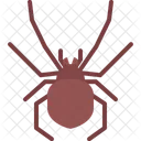 Araña  Icono