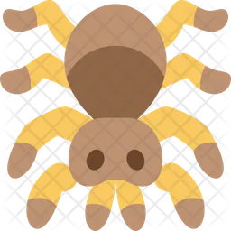 Araña  Icono