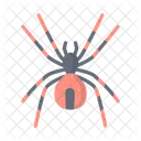 Araña  Icono