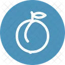 Arancia Frutta Cibo Icon