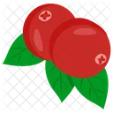 Arándano  Icono