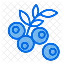 Blue Berry Comida Sana Fruta Icon