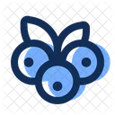 Arándano  Icono