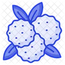 Arándano  Icono
