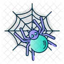 Aranha Inseto Inseto Icon