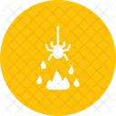 Aranha  Icon