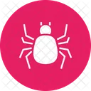 Aranha  Icon