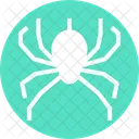 Aranha  Icon