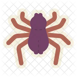 Aranha  Ícone