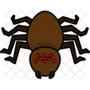 Aranha Animal Aranhas Icon