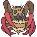 Aranhas  Ícone