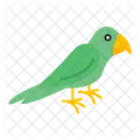 Arara  Ícone