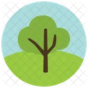 Arbol Verdor Icono