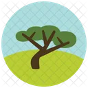 Arbol Verdor Icono