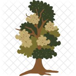 Árbol  Icono