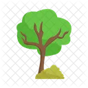 Árbol  Icono