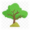 Árbol  Icono