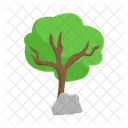 Árbol  Icono