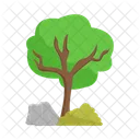 Arbol Naturaleza Planta Icon