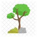 Arbol Naturaleza Planta Icon