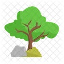 Arbol Naturaleza Planta Icon