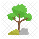 Arbol Naturaleza Planta Icon