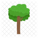 Arbol Naturaleza Planta Icon